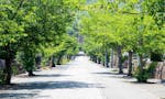 本妙寺 永代供養付納骨堂・樹木葬 参道