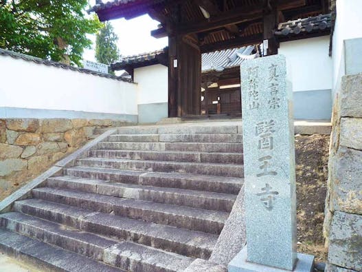 医王寺 のうこつぼ