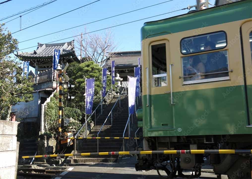 鎌倉七里ヶ浜霊園 樹木葬・ペット共葬墓