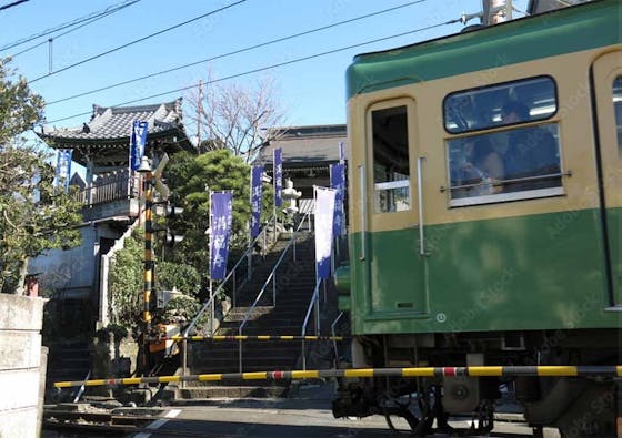 鎌倉七里ヶ浜霊園 樹木葬・ペット共葬墓
