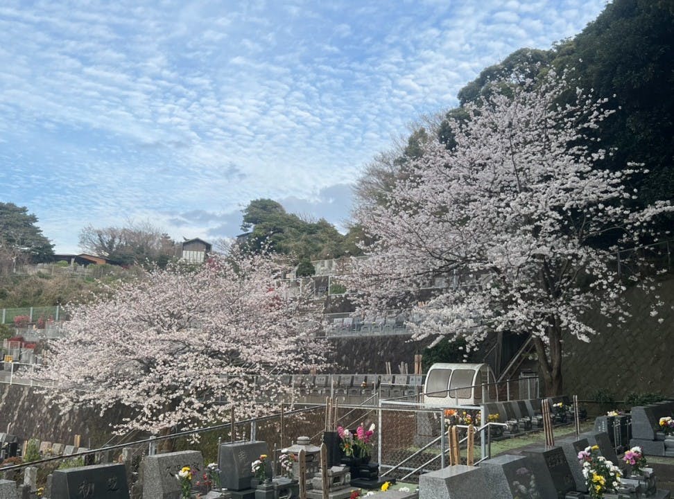 鎌倉七里ヶ浜霊園 樹木葬・ペット共葬墓