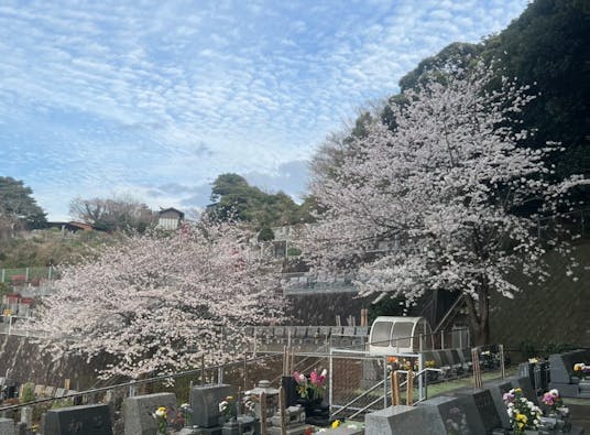 鎌倉七里ヶ浜霊園 樹木葬・ペット共葬墓