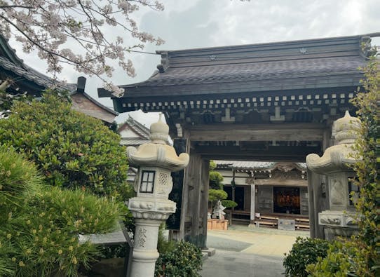 鎌倉七里ヶ浜霊園 樹木葬・ペット共葬墓