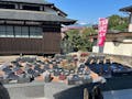 妙法寺墓苑　永代供養付き墓地・樹木葬 花壇型樹木葬