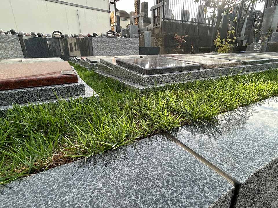 神明寺 絆樹木葬～永遠のつむぎ～