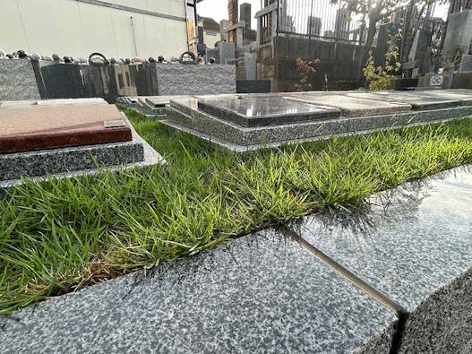 神明寺 絆樹木葬~永遠のつむぎ~