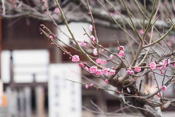 小石観音寺 清浄光廟（永代供養納骨堂）