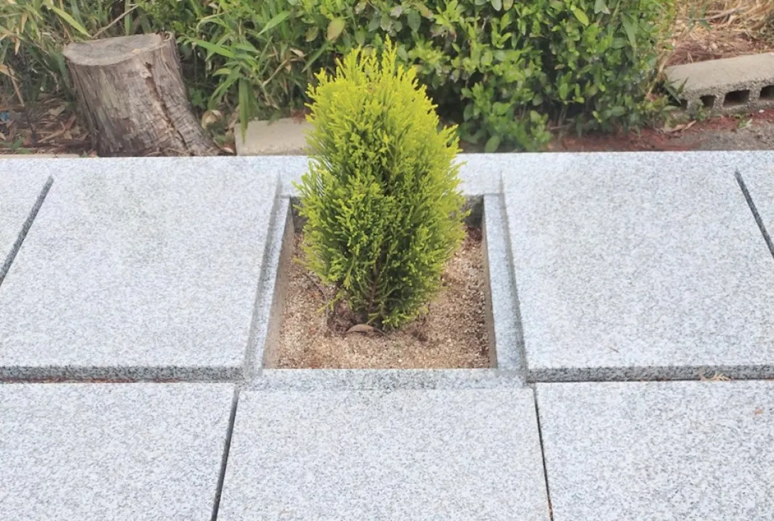 圓立寺 樹木葬・個別永代供養墓(津市)の樹木葬