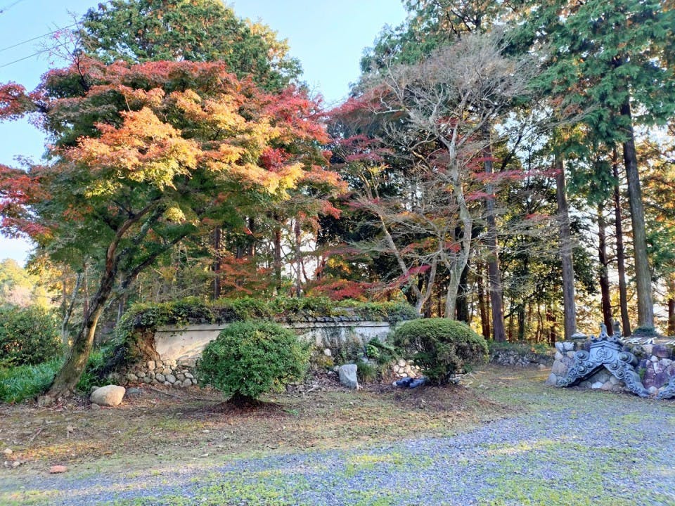圓立寺 樹木葬・個別永代供養墓