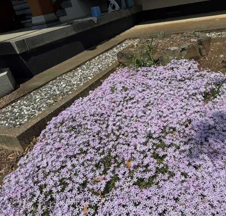 リーフログ下妻樹木葬墓苑