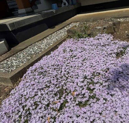 リーフログ下妻樹木葬墓苑