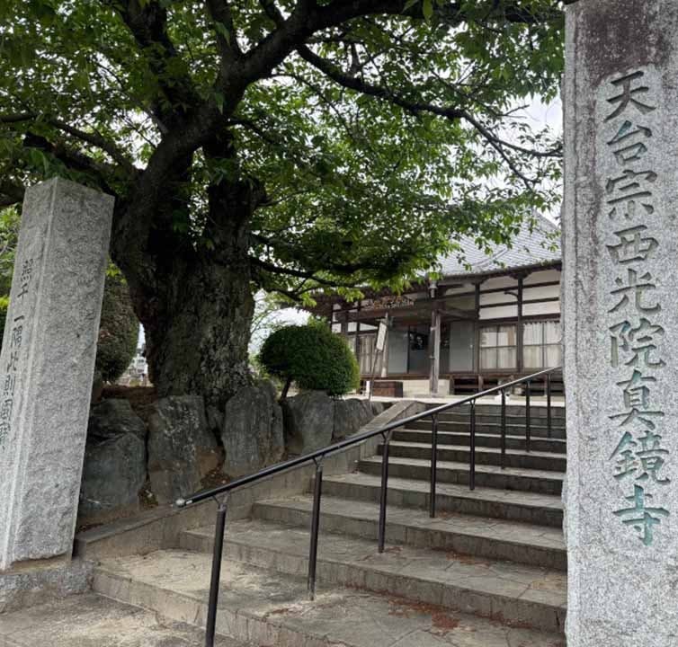 リーフログ本庄児玉樹木葬墓苑