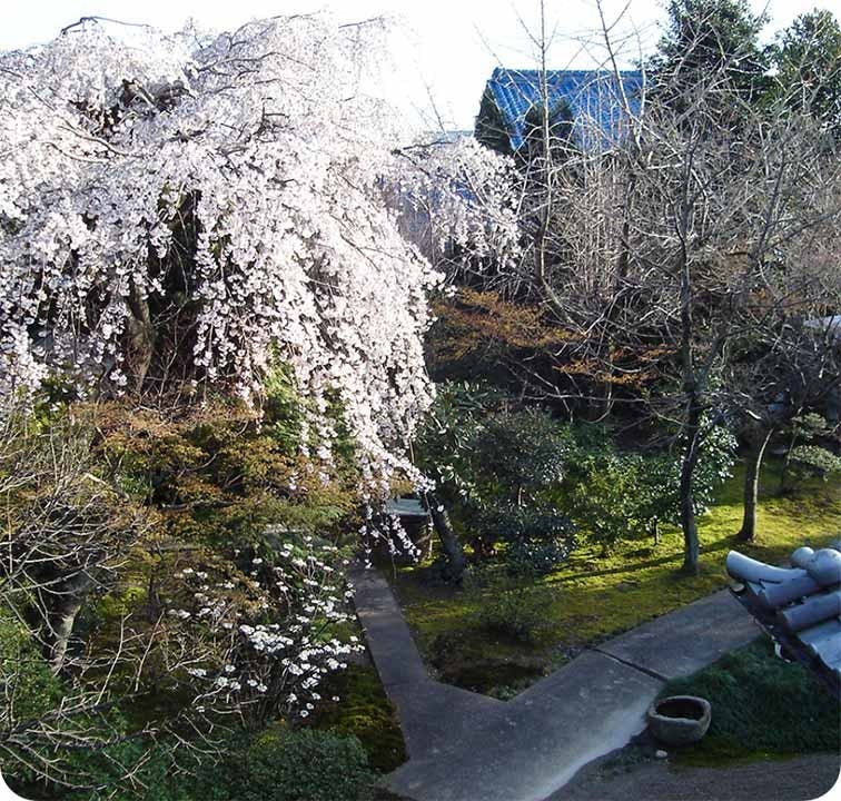 リーフログ一宮千秋樹木葬墓苑