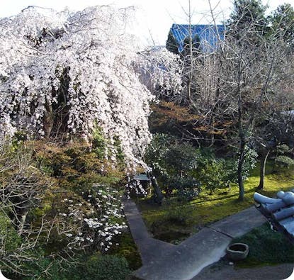 リーフログ一宮千秋樹木葬墓苑