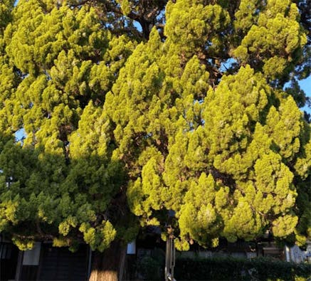 リーフログ西尾樹木葬墓苑