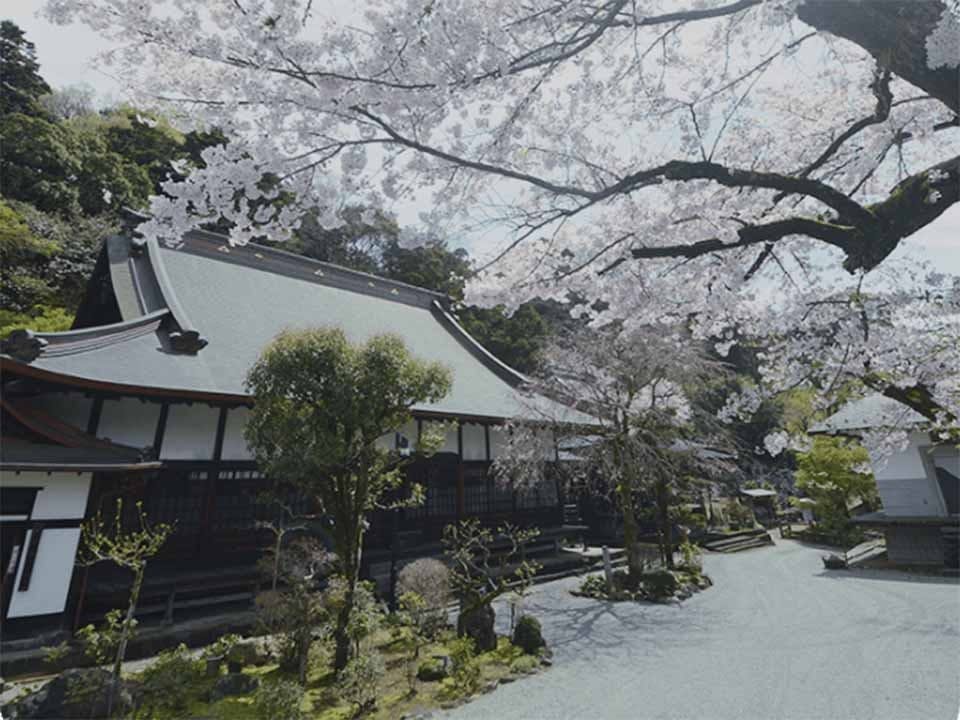 リーフログ足柄樹木葬墓苑