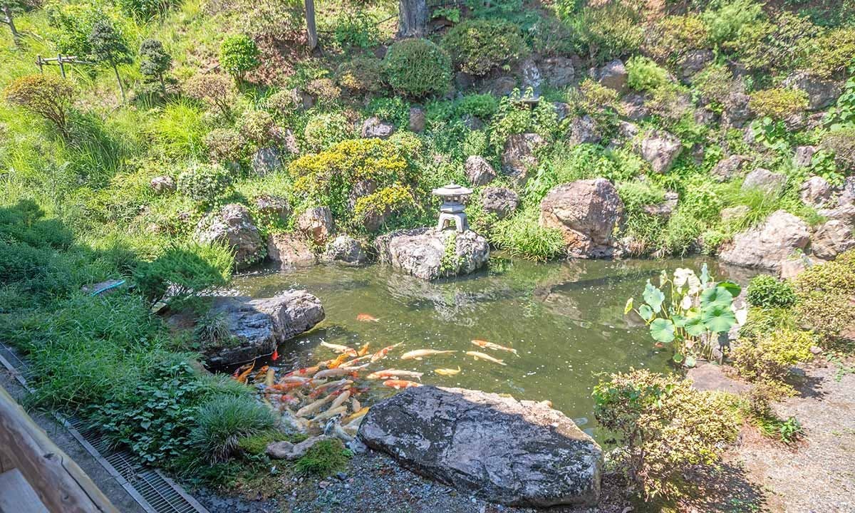 紫雲院 永代供養墓・樹木葬