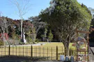高蔵寺　個別型樹木葬墓