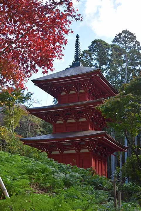 高蔵寺　個別型樹木葬墓