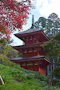 高蔵寺　個別型樹木葬墓