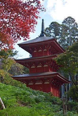 高蔵寺　個別型樹木葬墓