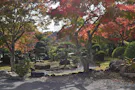 高蔵寺　個別型樹木葬墓