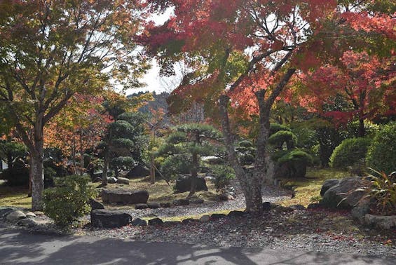 高蔵寺　個別型樹木葬墓