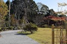 高蔵寺　個別型樹木葬墓 高蔵寺樹木葬墓　入口　令和8年　春完成
