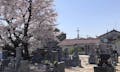 吉祥寺 墓地