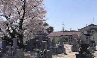 吉祥寺 墓地