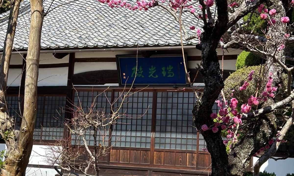 吉祥寺 墓地 本堂