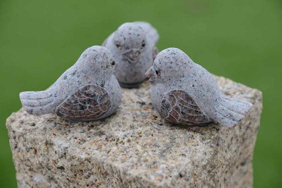 メモリアルパークwith神辺