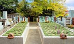 上行寺 永代供養墓・樹木葬 永代供養付樹木葬「自然想 やすらぎの風」（個別墓）