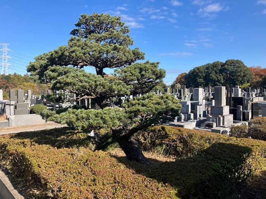 小さな森の樹木葬 白井