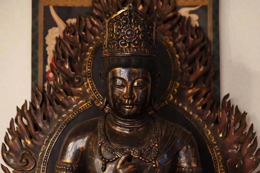 小さな森の樹木葬 白井