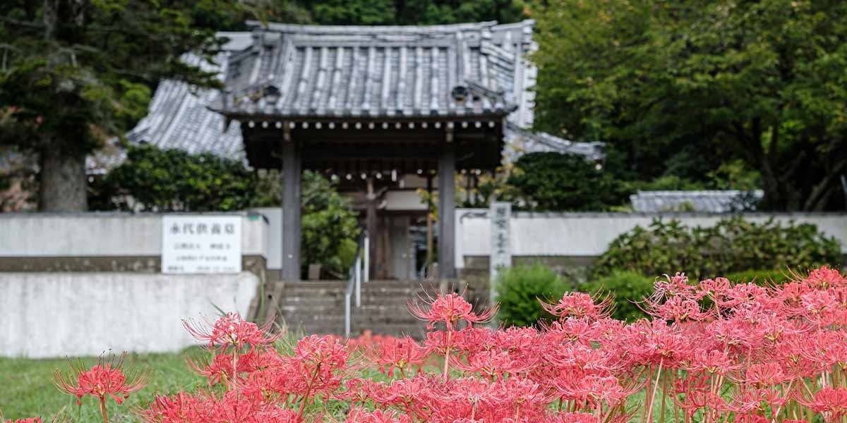 妙湛寺 樹木葬霊園