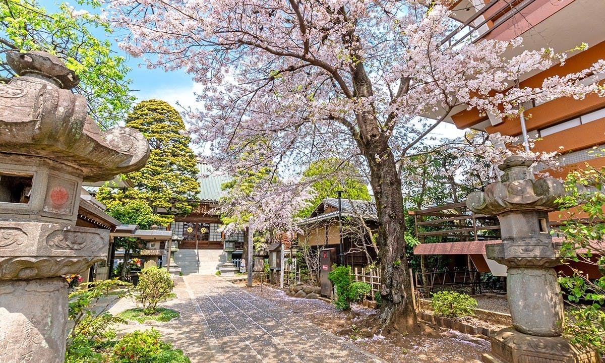 永代供養の個別墓・家族墓・樹木葬 | 徳蔵寺 徳蔵寺 境内
