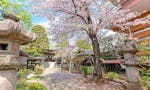永代供養の個別墓・家族墓・樹木葬 | 徳蔵寺 徳蔵寺 境内