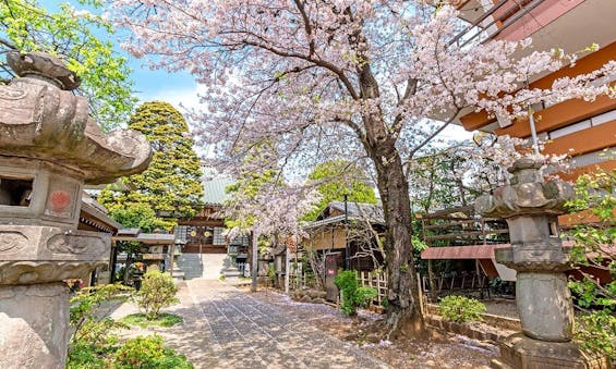 永代供養の個別墓・家族墓・樹木葬 | 徳蔵寺
