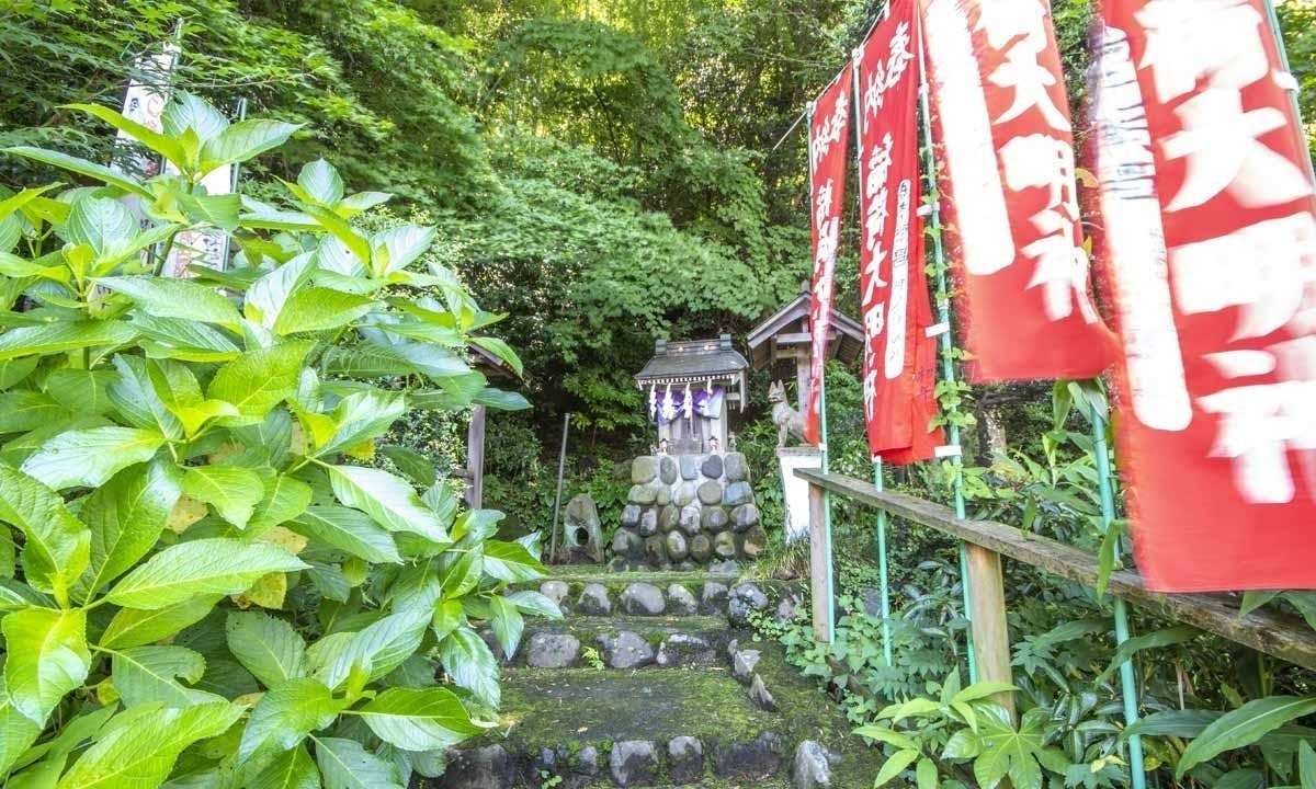 永代供養の個別墓・家族墓・樹木葬 | 興福寺 夏はゲンジボタルの観賞会も