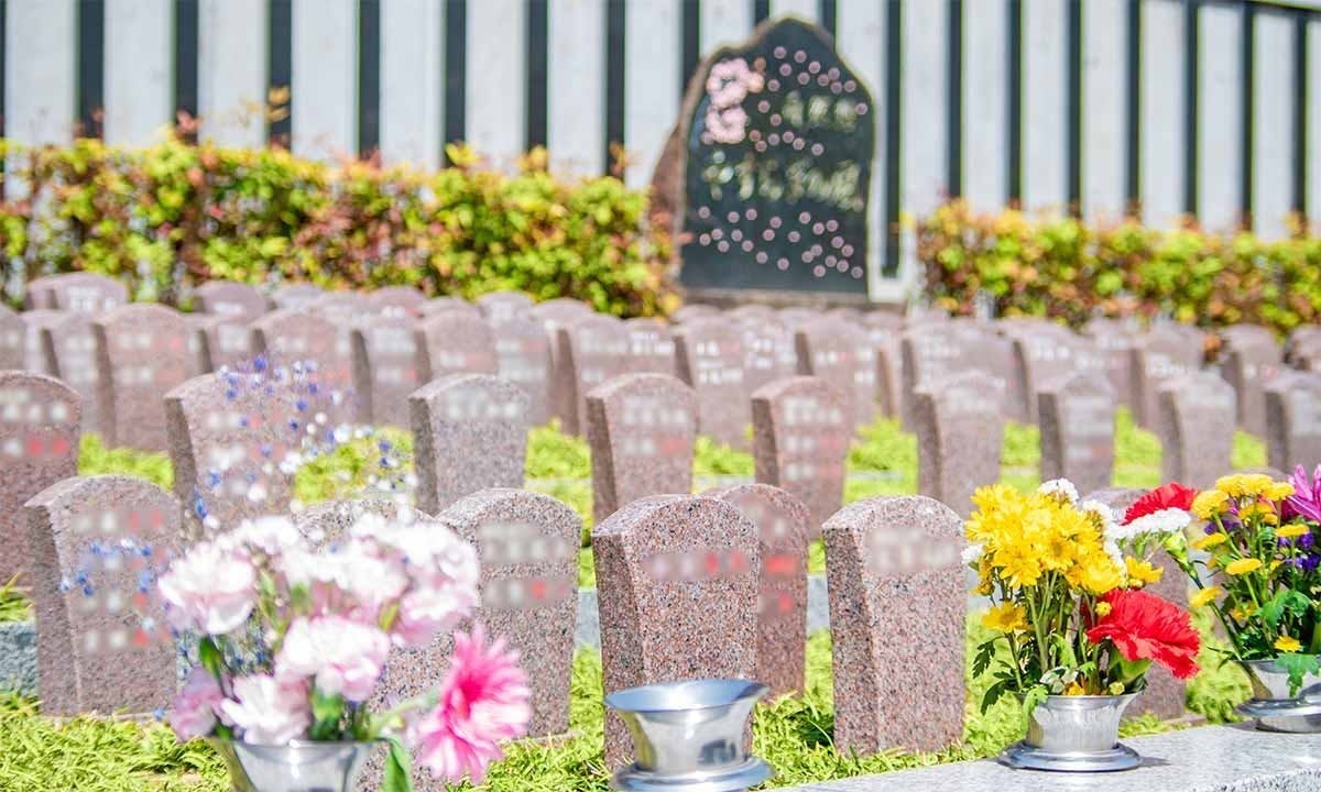 永代供養の個別墓・家族墓・樹木葬 | 興福寺 故人が眠る場所がわかるよう石の墓標を使用