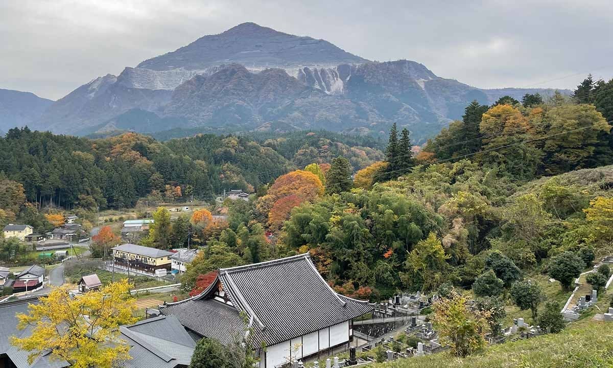 秩父 よこぜの郷　東林寺 永代樹木葬 樹木葬からの風景