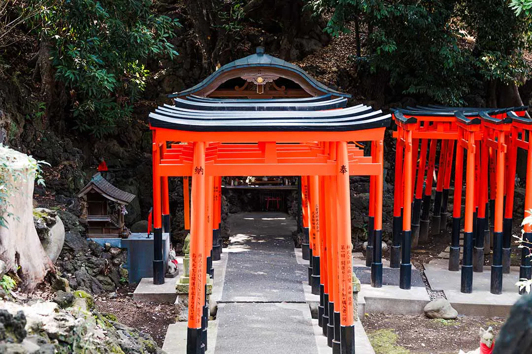 慈眼院　小石川浄苑 境内