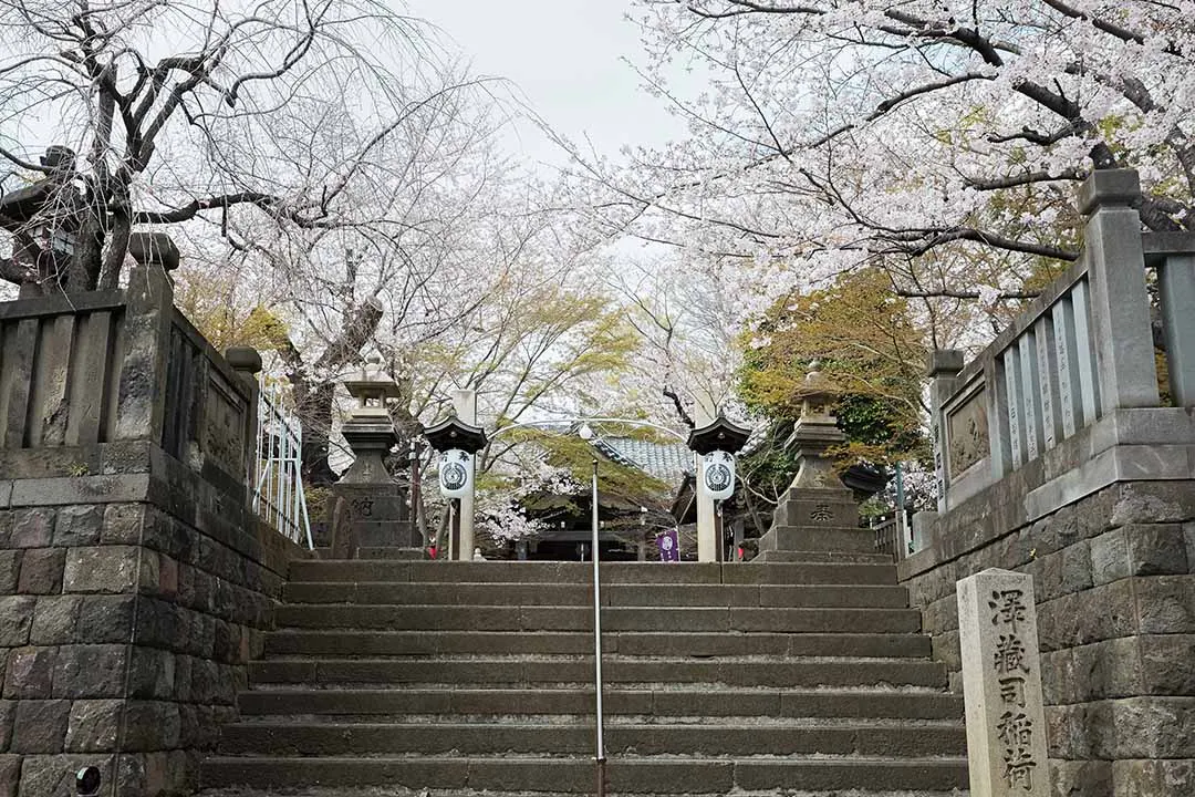 慈眼院　小石川浄苑 境内
