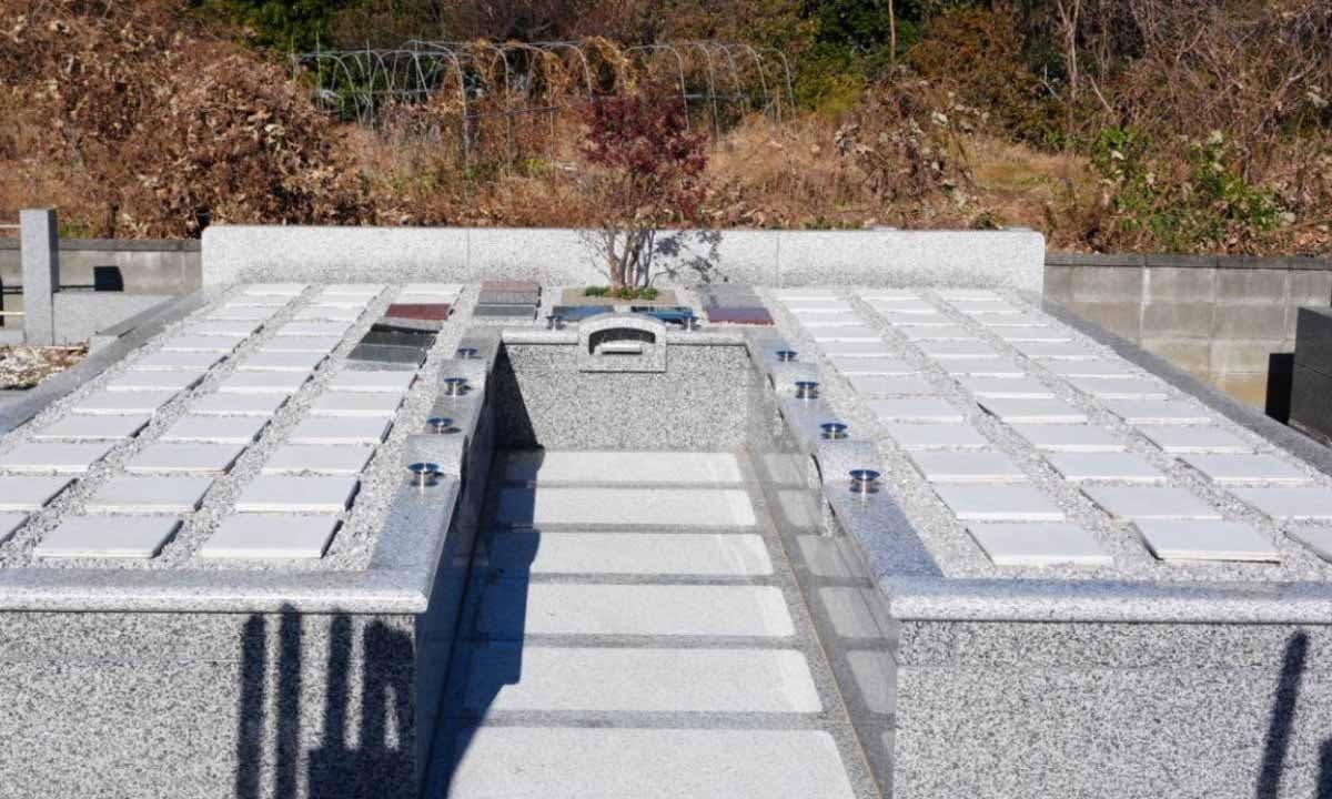 圓福寺墓苑　樹木葬の画像