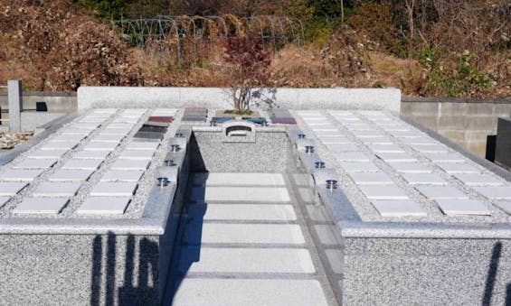 圓福寺墓苑 樹木葬