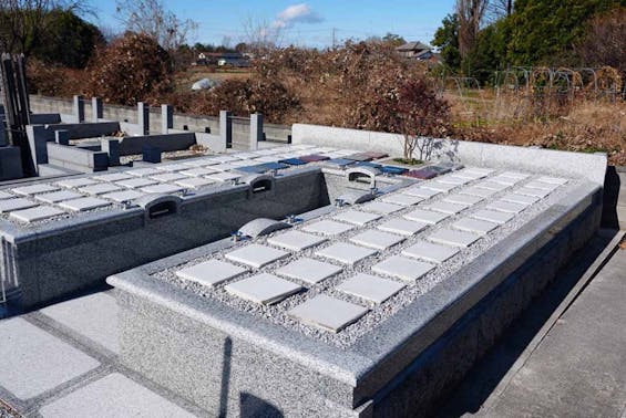 圓福寺墓苑 樹木葬