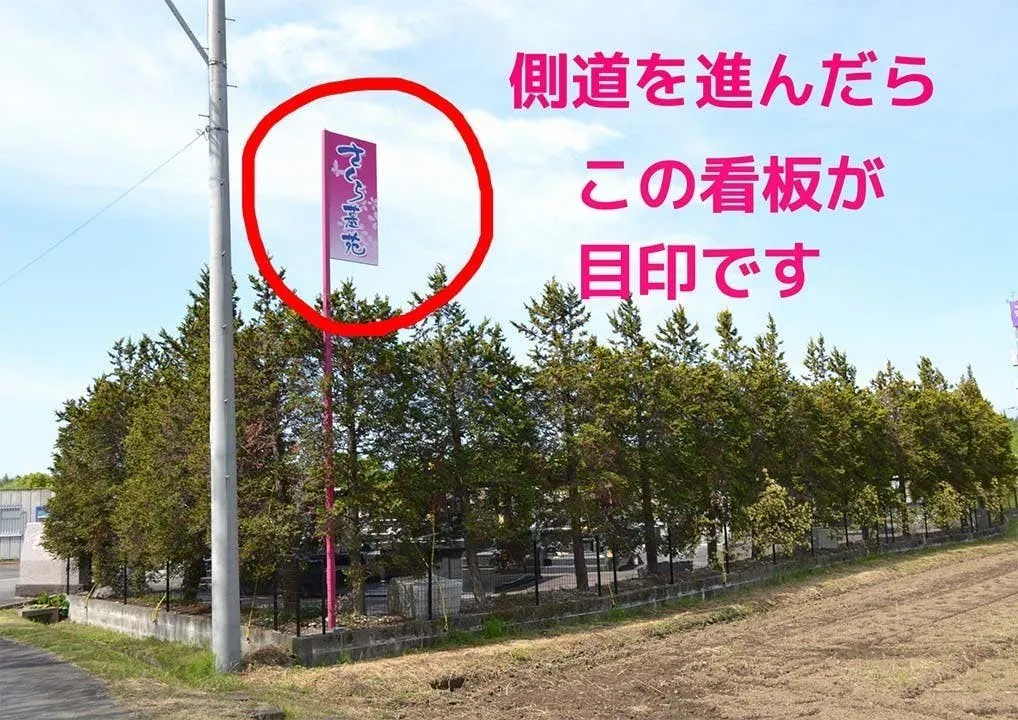 佐賀さくら墓苑 樹木葬