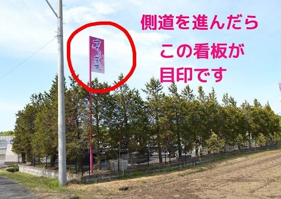 佐賀さくら墓苑 樹木葬