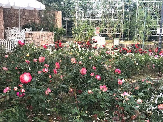 霊山寺東光院大霊園 永代供養墓